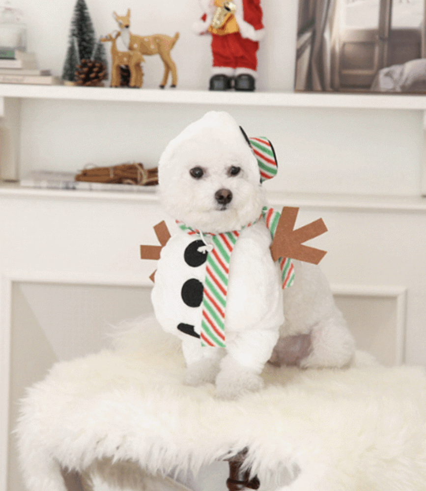 크리스마스 강아지 눈사람 코스튬